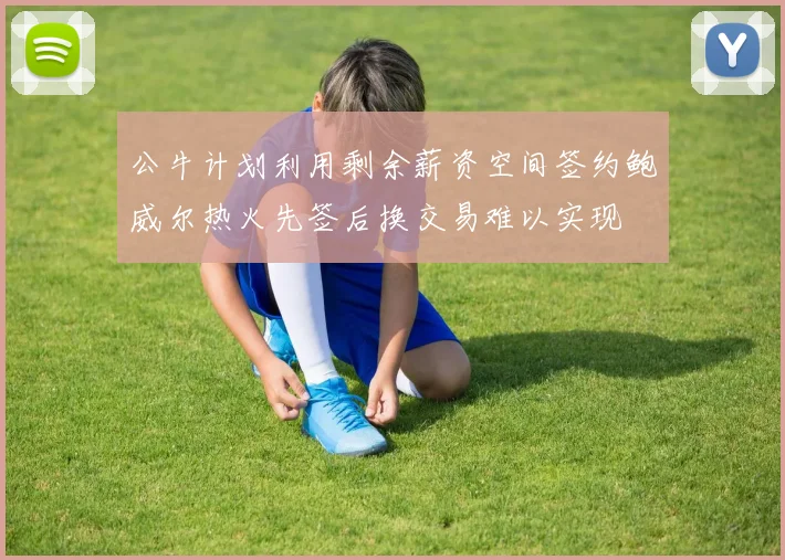 公牛计划利用剩余薪资空间签约鲍威尔热火先签后换交易难以实现
